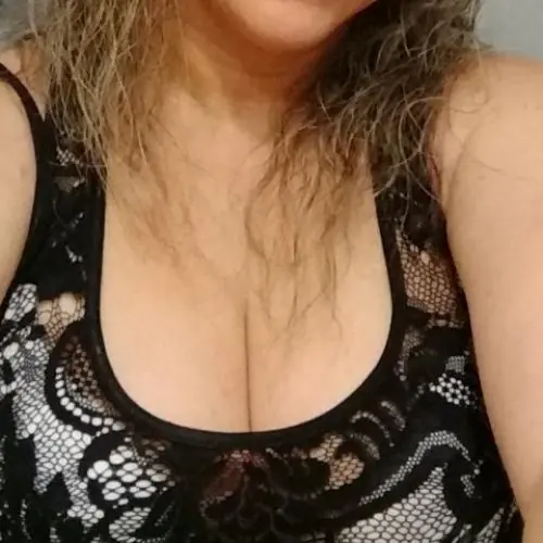 pfotenorange image 0